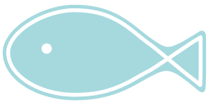 plain fish